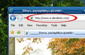 İnternet Alan Adları (Domain Name) rookies bt egitim 5 basamak İnternet Alan Adları (Domain Name)
